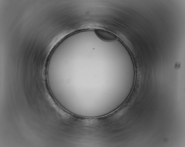 X0000111610893200907311136