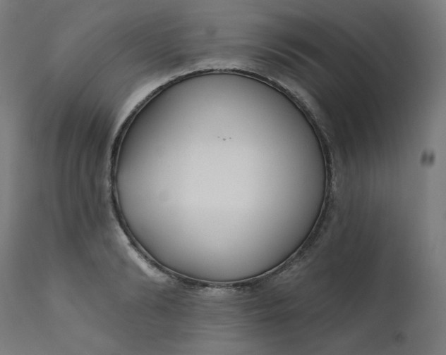 X0000111610894200907311136