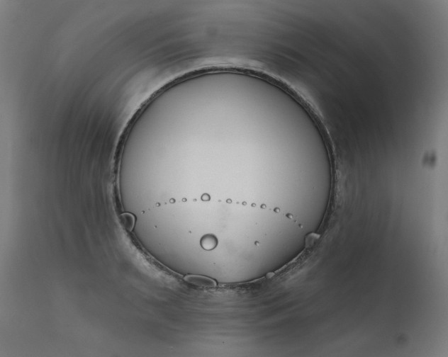 X0000111610895200907311136