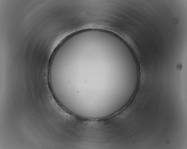 X0000111610896200907311136