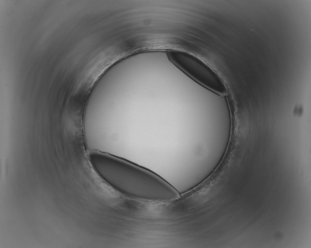 X0000111610897200907311136