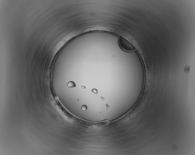 X0000111610898200907311136