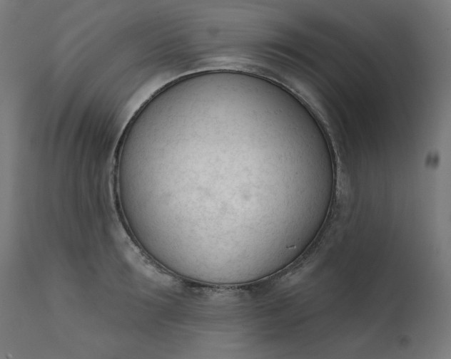 X0000111610899200907311136