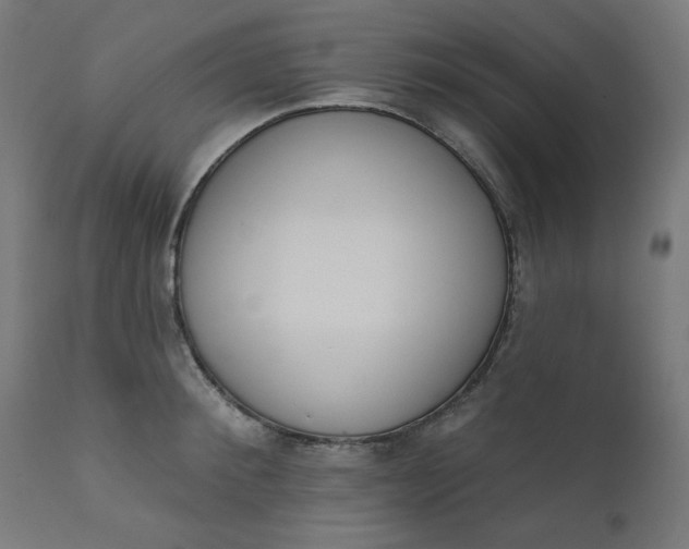 X0000111610900200907311136