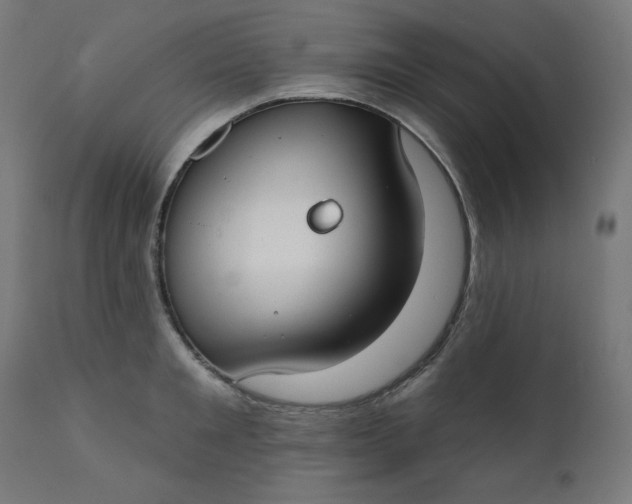 X0000111610901200907311136