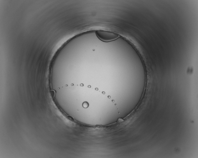 X0000111610902200907311136