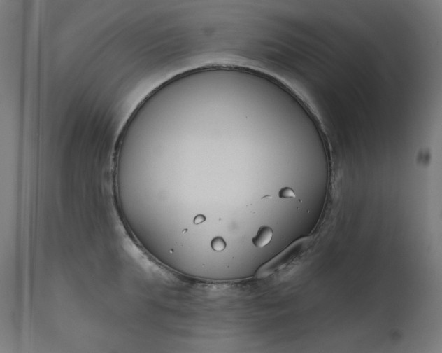 X0000111610903200907311136