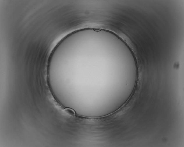 X0000111610904200907311136