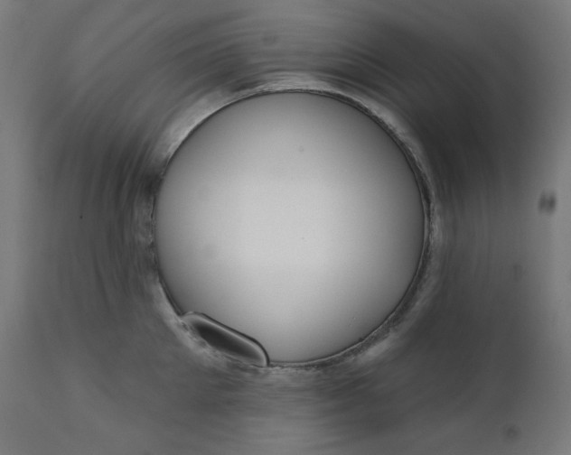 X0000111610905200907311136