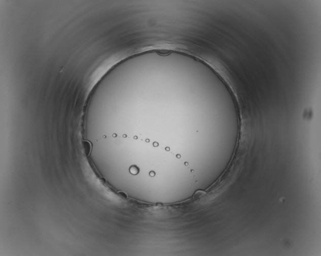 X0000111610906200907311136