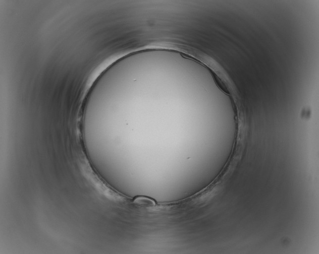 X0000111610908200907311136