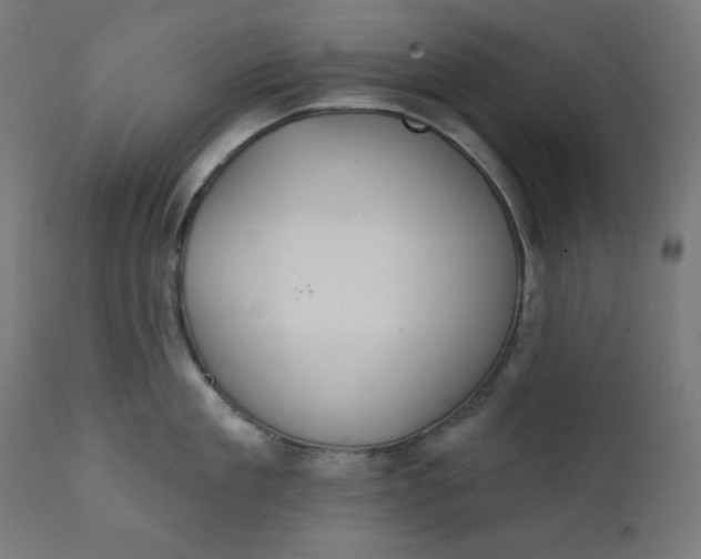 X0000111610909200907311136