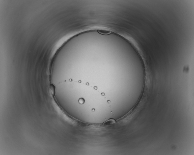 X0000111610910200907311136