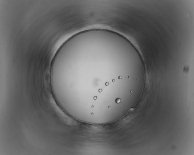 X0000111610911200907311136