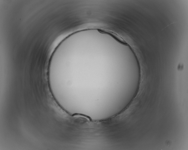 X0000111610912200907311136