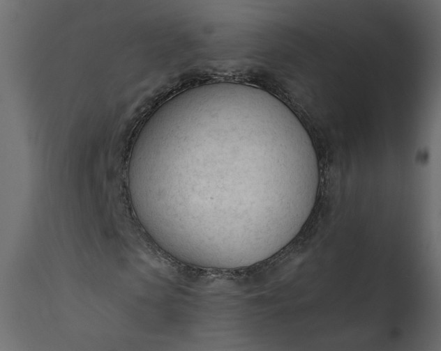 X0000111610913200907311135