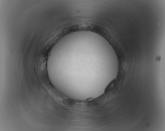 X0000111610914200907311135