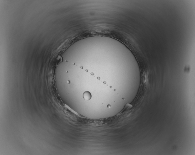 X0000111610915200907311135