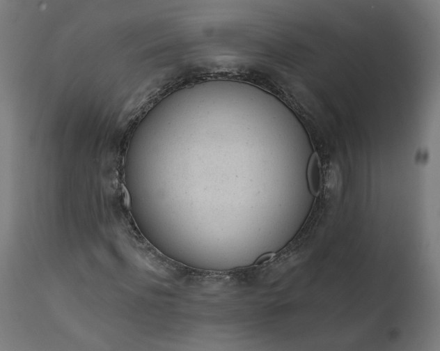 X0000111610916200907311135