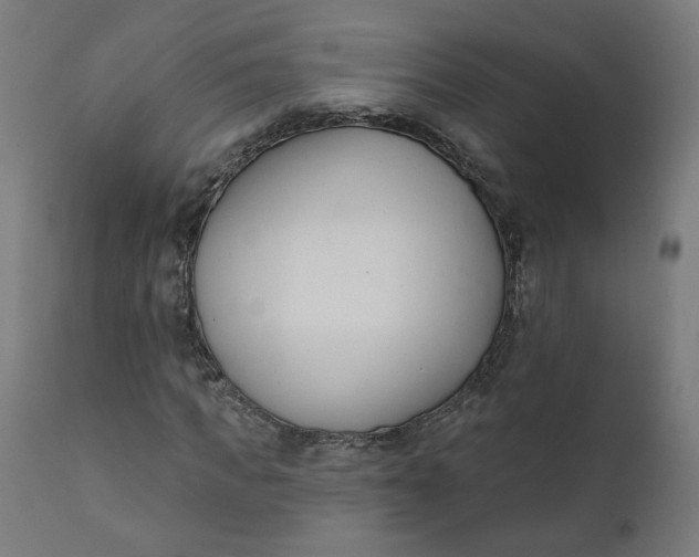 X0000111610917200907311135