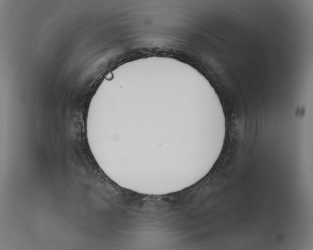 X0000111610918200907311135