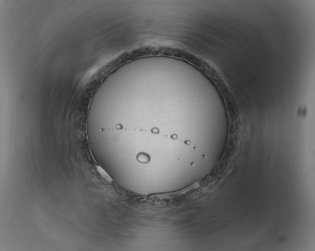 X0000111610919200907311135