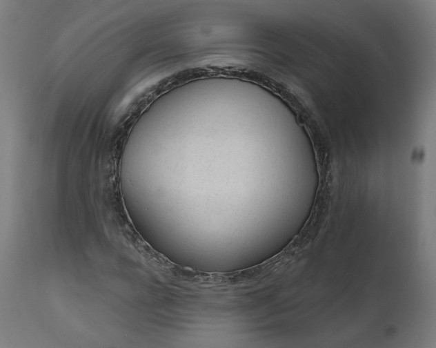 X0000111610920200907311135