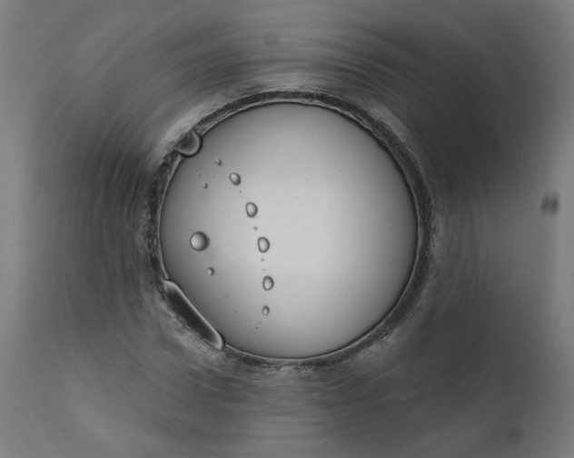 X0000111610922200907311135