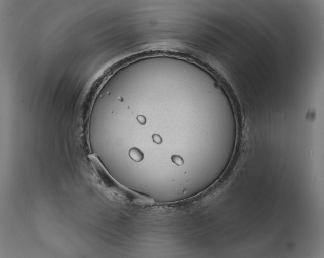 X0000111610923200907311135