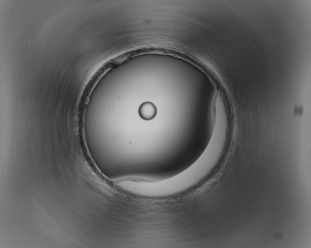 X0000111610924200907311135