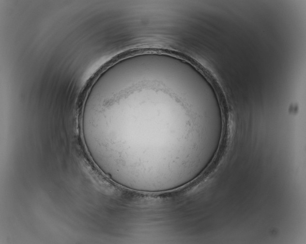 X0000111610925200907311135