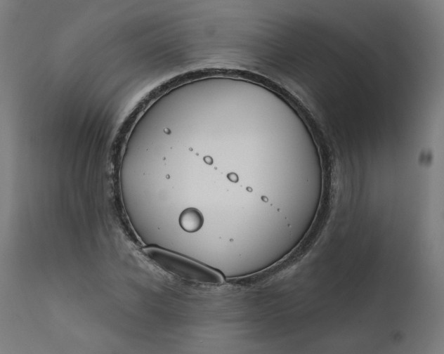 X0000111610926200907311135