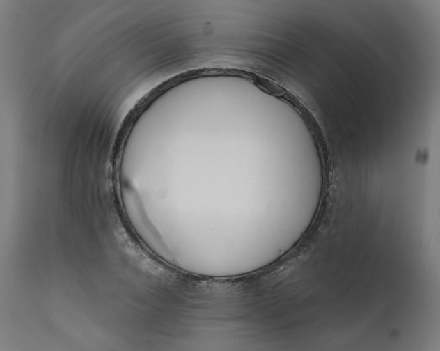 X0000111610928200907311135