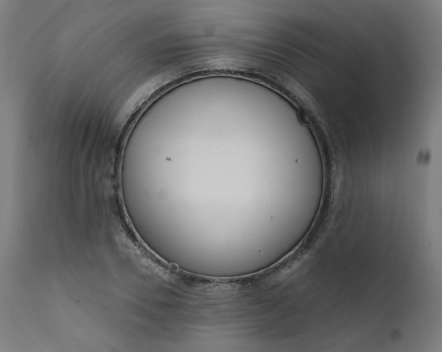 X0000111610930200907311135