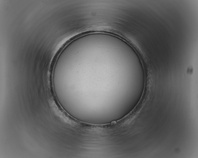 X0000111610932200907311135