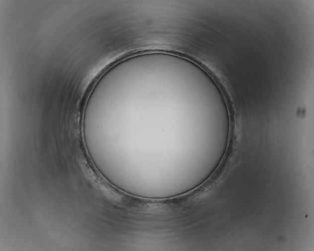 X0000111610933200907311135