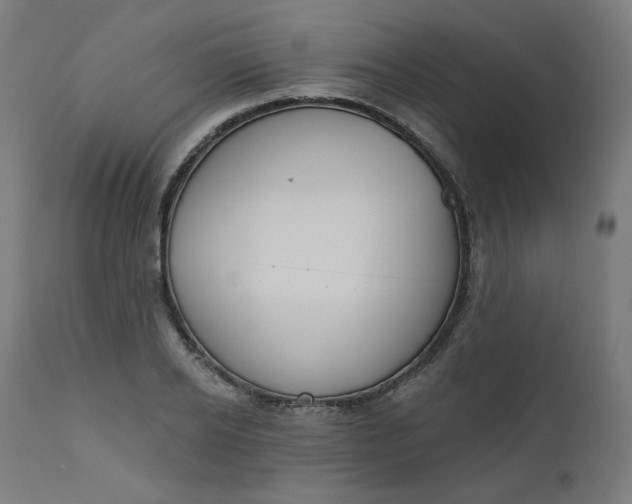 X0000111610934200907311135