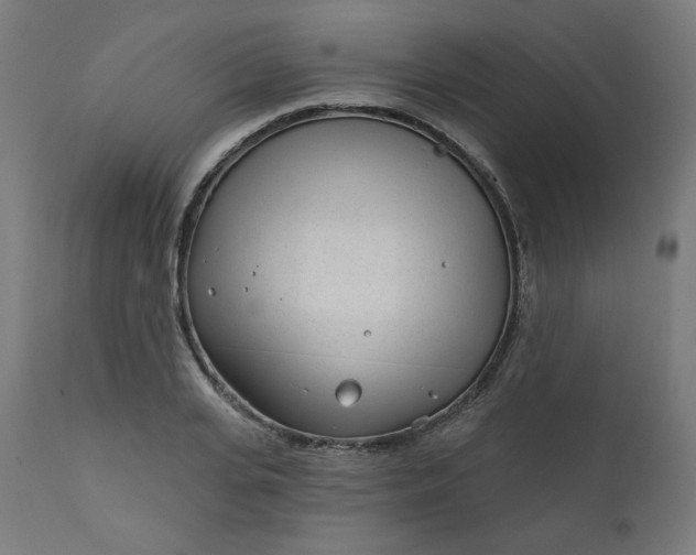 X0000111610935200907311135