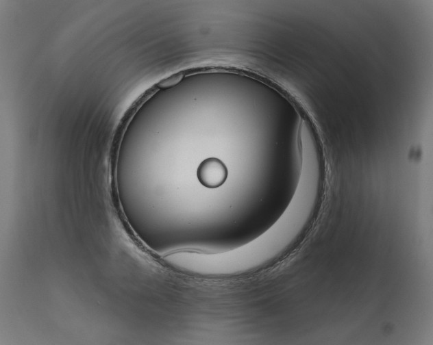 X0000111610936200907311136