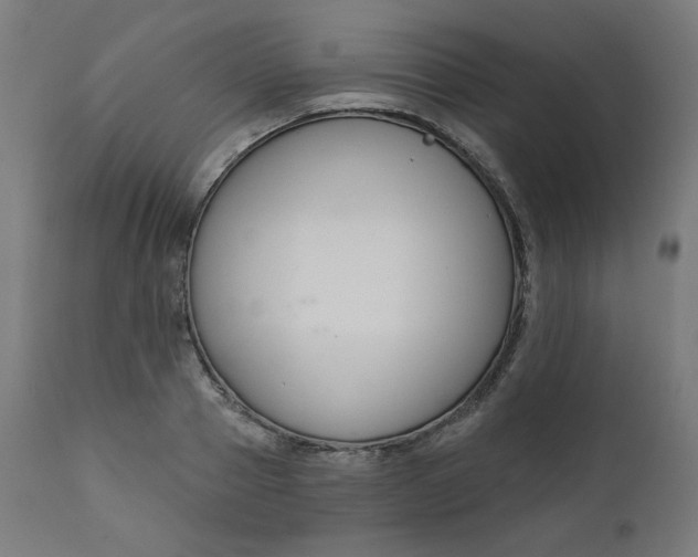 X0000111610937200907311136