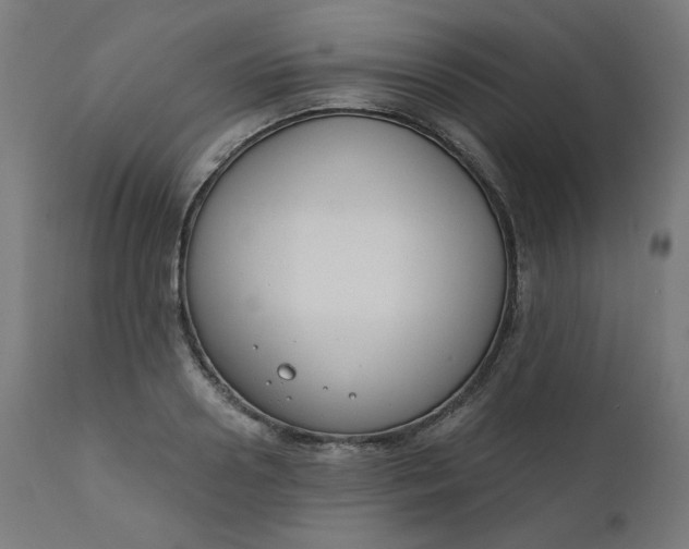 X0000111610938200907311136