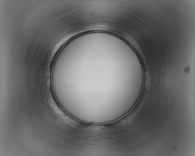 X0000111610939200907311136