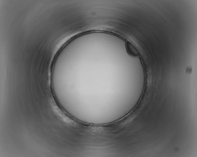 X0000111610940200907311136