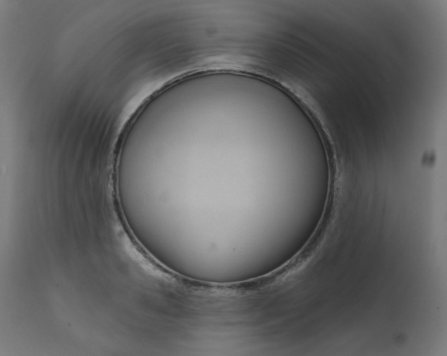 X0000111610941200907311136