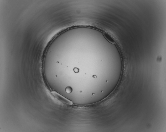 X0000111610942200907311136