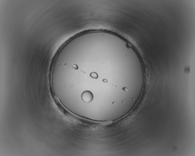 X0000111610943200907311136