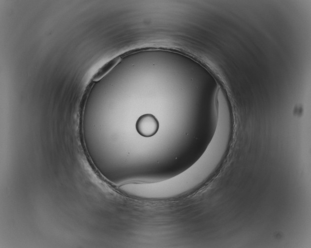 X0000111610944200907311136