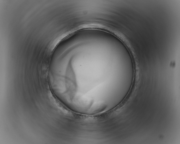 X0000111610945200907311136