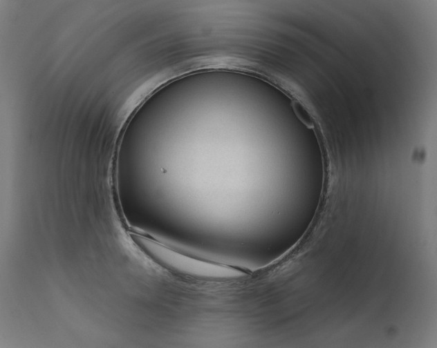 X0000111610946200907311136