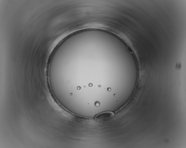 X0000111610947200907311136